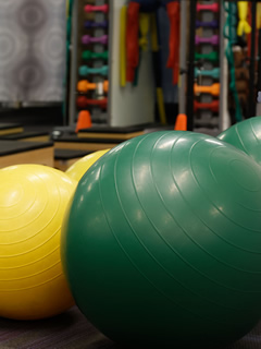 rehabilitation therapy balls